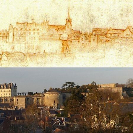 Maison Centre Ville Avec Parking, Jardin, Vue, Ac, Le Point De Vue De Leonard Amboise Exteriör bild